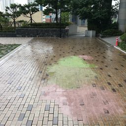 프라이머